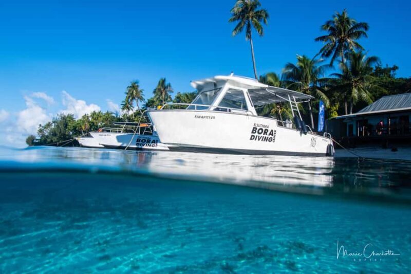 Private Boat for your Romantic Dive in Bora Bora - FAQ