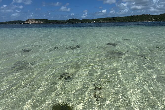PRIVATE BOAT Half Day Discover Green Island and Sea Turtles - Meeting and Pickup