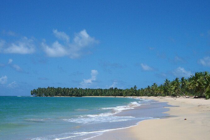 Private Boat Nature Tour of Limón Beach and Lagoon - An Authentic Escape to Nature