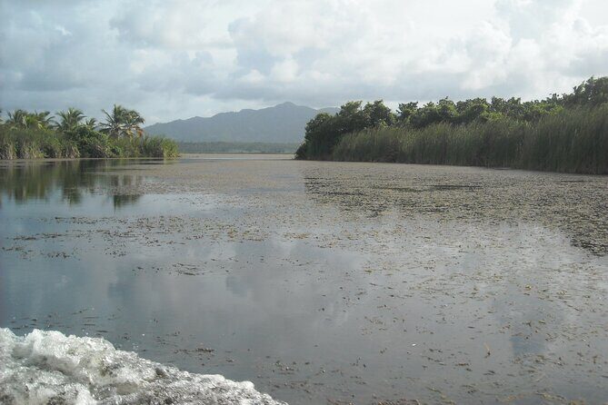 Private Boat Nature Tour of Limón Beach and Lagoon - Who Should Book This Tour?