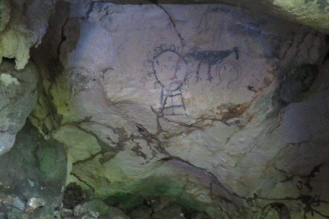 Private Boat Nature Tour of Los Haitises National Park - Final Thoughts: Who Will Love This Tour?