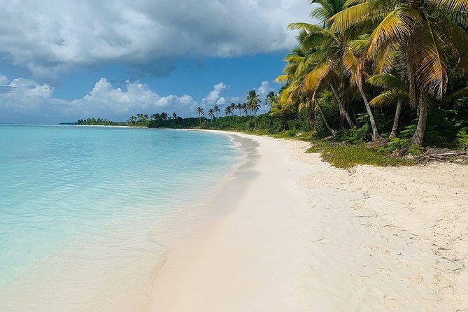 Private Boat Nature Tour of Saona Island - Discovering Saona with a Private Touch