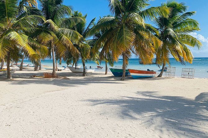 Private Boat Nature Tour of Saona Island - Authentic Experiences, Not Just a Tour