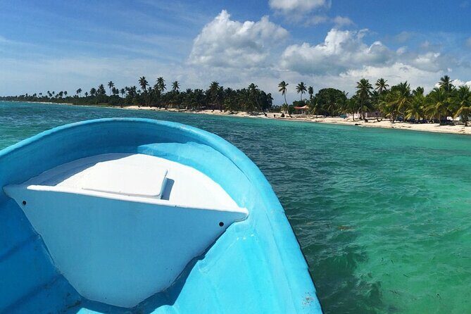 Private Boat Nature Tour of Saona Island - Who Should Book This Tour?