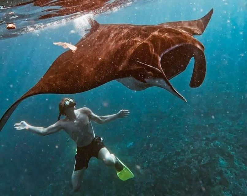 Private Boat Nusa Penida Day Tour With Snorkeling & LandTour - Lunch at Fancy Restaurant