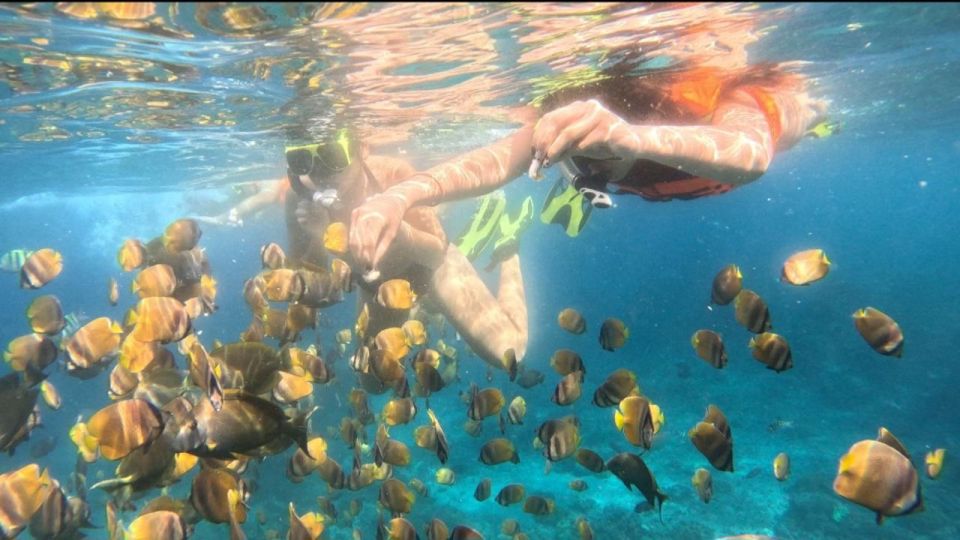 Private Boat Nusa Penida Day Tour With Snorkeling & LandTour - Important Considerations