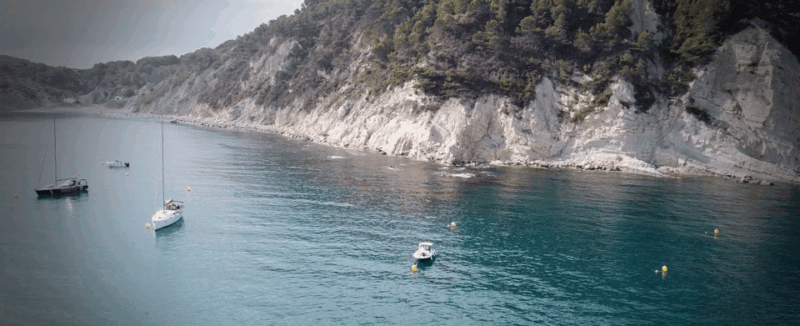 Private Boat Route With Wine,Ibérico Gourmet All Incld 3hour - Food and Beverage Offerings