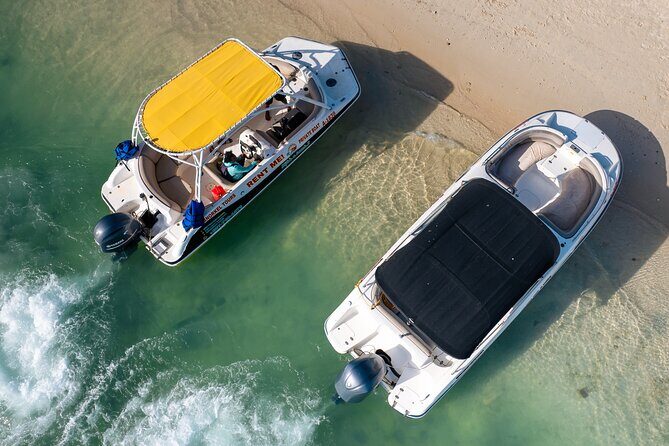 Private Boat & Snorkeling Adventure on Arubas Crystal Coast - What the Reviews Say