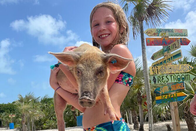 Private Boat Swim and Snorkel Adventure to Rose Island - Who Should Consider This Tour?