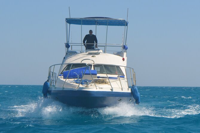Private Boat to Dolphin House Full Day Snorkeling Sea Trip Max 10 Pax - Hurghada - Trip Highlights