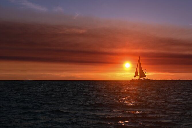 Private Boat Tour Dolphins Sunsets Shell Island and Snorkeling - What to Expect from the Tour