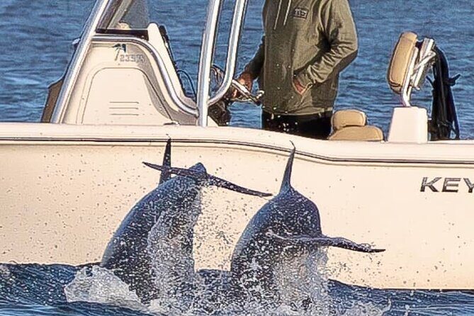 Private Boat Tour Dolphins Sunsets Shell Island and Snorkeling - Practical Details: What You Need to Know