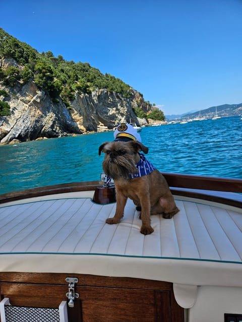Private Boat Tour from La spezia to 5 Terre with Drinks-Snacks-Swimming - The Sum Up