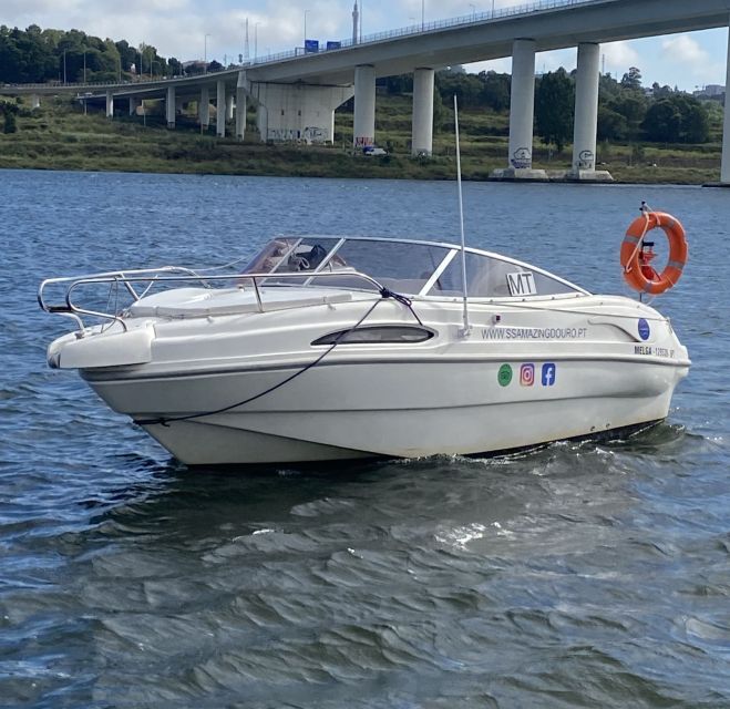 Private Boat Tour in Porto - Highlights of the Tour