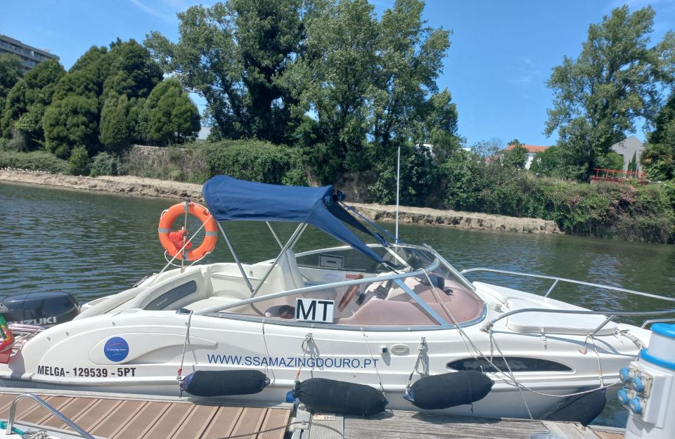Private Boat Tour in Porto - Discounted Pricing and Offers