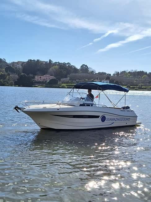 Private Boat Tour in Porto with Portuguese Tapas Option - Exploring the Porto Waterfront from the Water: A Review of the Private Boat Tour