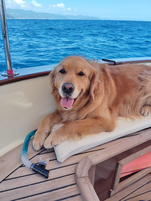 Private boat tour in the Portofino Riviera - An In-Depth Look at the Ligurian Coast Private Boat Experience
