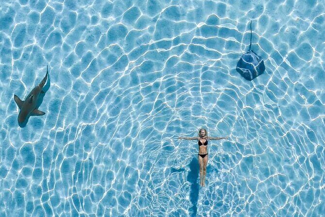 Private Boat Tour of Moorea Lagoon - Exploring Moorea from the Water: What to Expect