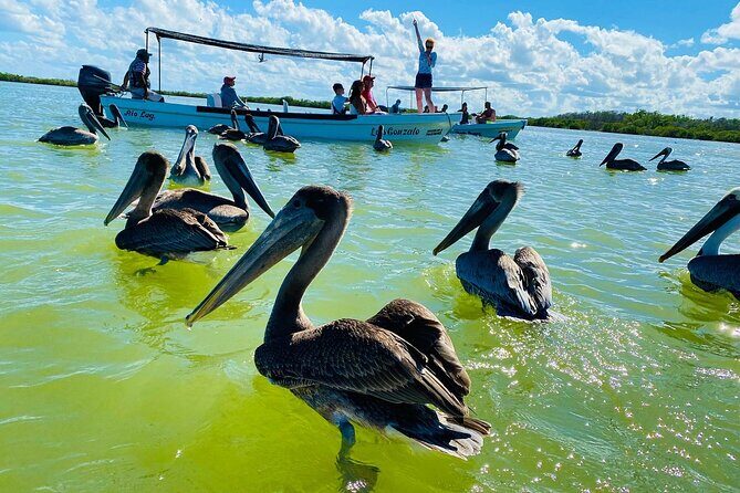 Private Boat Tour of Rio Lagartos - Final Thoughts: Is It Worth It?
