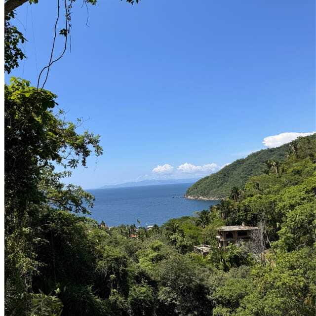 PRIVATE BOAT TOUR | SNORKEL | RESTAURANTS | YELAPA - FAQ