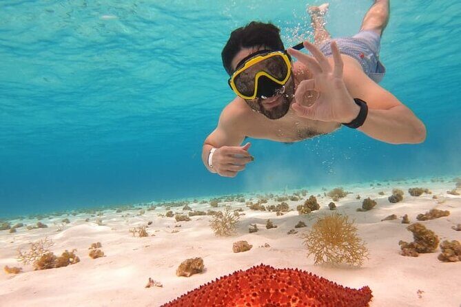 Private Boat Tour to Heaven - What Do Travelers Say?