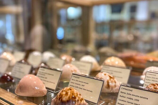 Private Boat Tour to Island Lokrum St Jackob Beach Betina Cave - The Sum Up