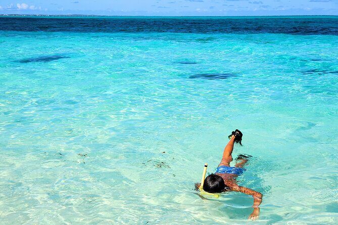 Private Boat Tour with Snorkeling, Island Hopping, and Noahs Ark - Why This Tour Resonates with Travelers