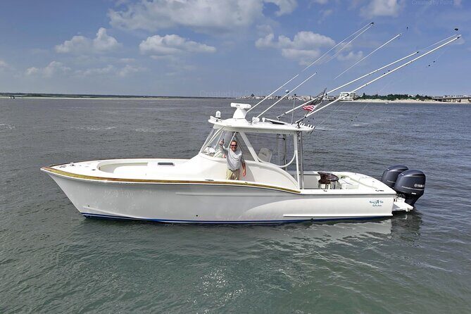 Private Boat Tours and dolphin encounters in Avalon NJ - An In-Depth Look at the Avalon Private Boat Tour