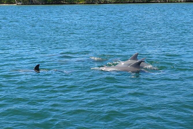 Private Boat Tours in N. Miami Beach - Sandbar, Sunset, Mansions! - Highly Rated Customer Experiences