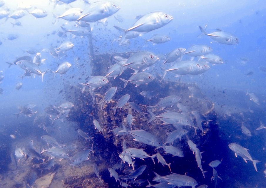 Private Boat Trip Around Koh Kood - Key Points
