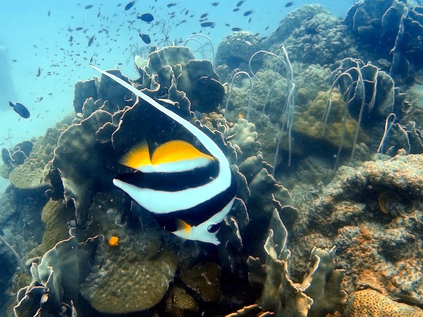 Private Boat Trip Around Koh Kood - Pickup and Inclusions