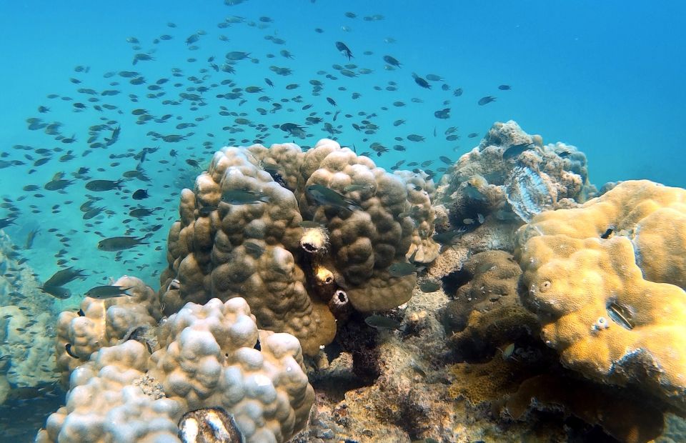 Private Boat Trip Around Koh Kood - Frequently Asked Questions