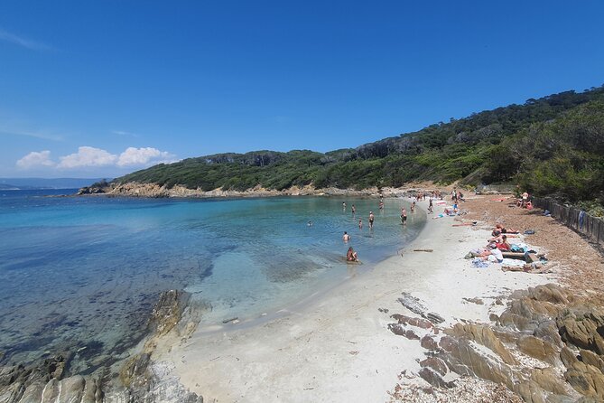 Private Boat Trip Around the Island of Port Cros. - Highlights of the Island
