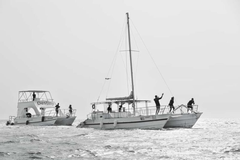 Private Boat Trip in Punta Cana with cocktails included - Pricing & Value