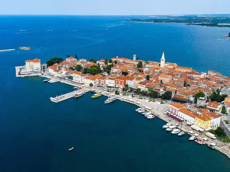 Private boat trips in Porec: Dolphin watching at sunset - Introduction