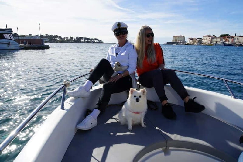 Private boat trips in Porec: Dolphin watching at sunset - Key Points