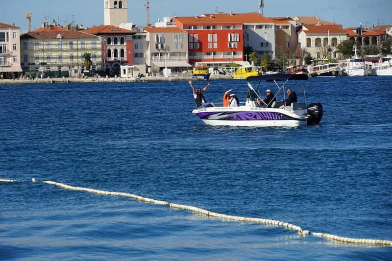 Private boat trips in Porec: Dolphin watching at sunset - Practical Tips for Travelers
