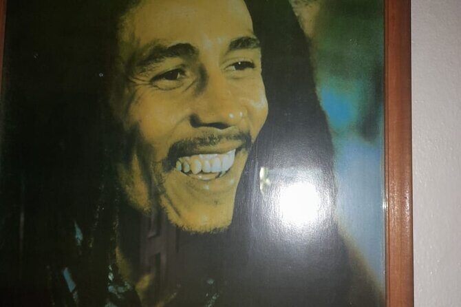 Private Bob Marley 9 Mile& Dunns River Adventures Fr. Montego Bay - Key Points
