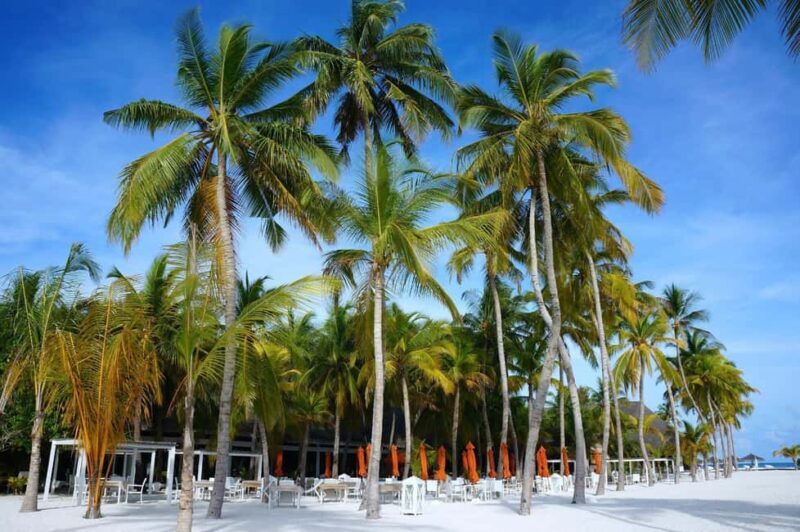 Private: Boca Chica to Saona Island Full-Day Cruise - The itinerary in detail: what makes each stop special