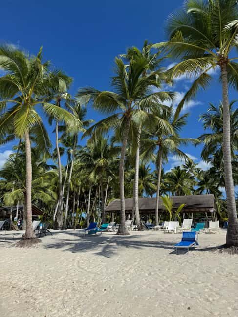 Private: Boca Chica to Saona Island Full-Day Cruise - Practical aspects and value