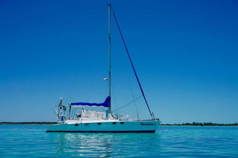 Private: Boca Chica to Saona Island Full-Day Cruise - FAQ