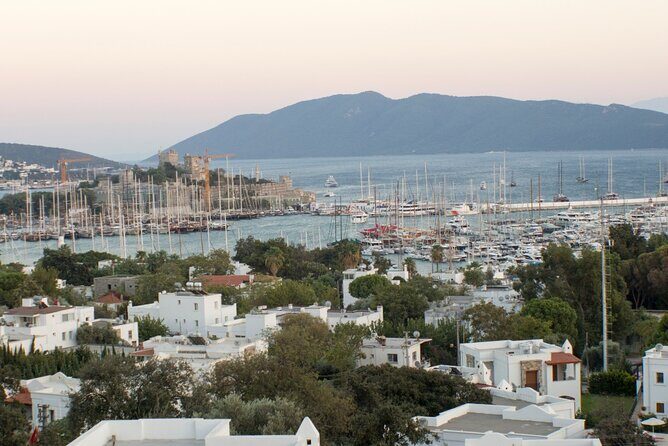Private Bodrum City Tour for Cruise Passangers - A Closer Look at the Private Bodrum City Tour for Cruise Passengers