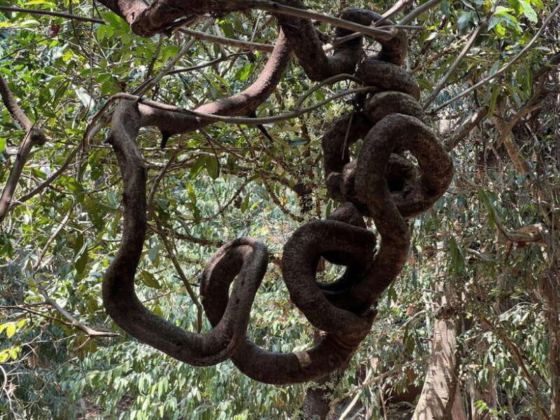 Private Bonteay Srei, Kbal Spean and Beng Mealear Tour - Frequently Asked Questions