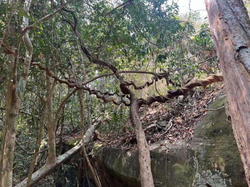 Private Bonteay Srei, Kbal Spean and Beng Mealear Tour - Final Thoughts