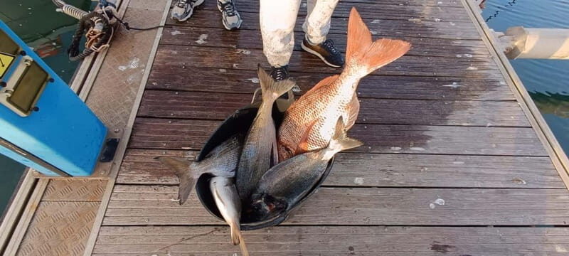 PRIVATE BOTTOM FISHING IN FUENGIROLA FOR 3 HOURS - Who Should Consider This Experience?