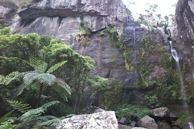 Private Breathtaking Koroyanitu Half Day Waterfall Hike - An In-Depth Look at the Koroyanitu Waterfall Hike