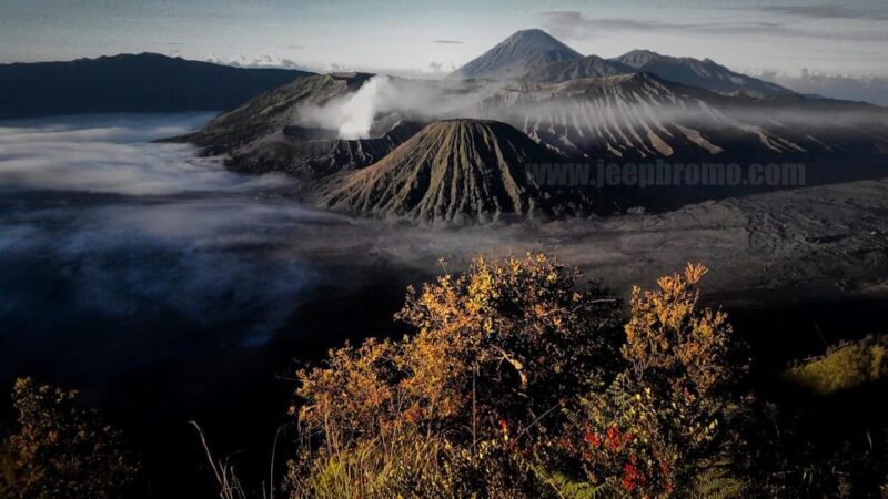 Private Bromo Tour Start From Malang - 1D - Inclusions
