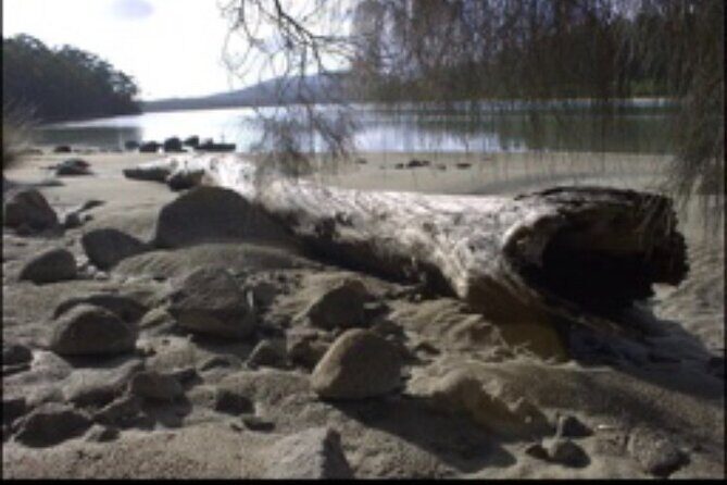 Private Bruny Island Discovery Tour - The Best for Who?