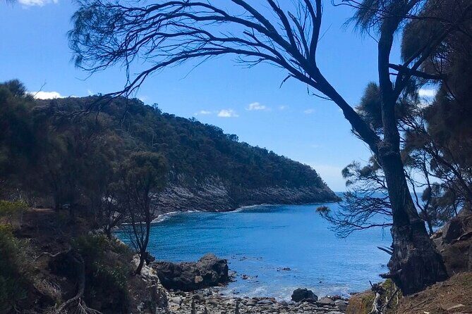 Private Bruny Island Discovery Tour - FAQ