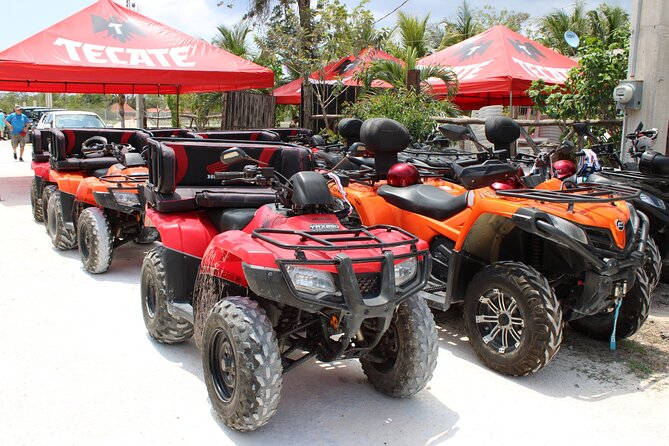 Private Buggy & ATV Tour to Jade Cavern Cenote: All-Inclusive - Positive Experiences and Feedback